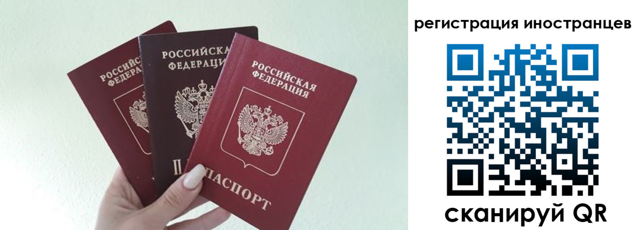 миграционный учет в Колпашево